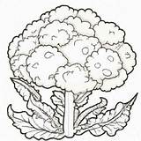 40  Desenhos de Couve Flor Para Imprimir E Colorir/Pintar Grátis sketch template