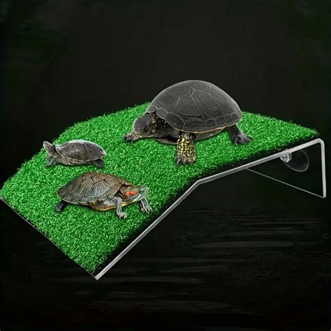 Turtle Dock – PC Aquatics