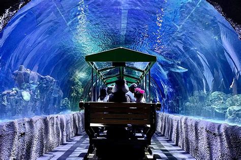 Underwater Train Ride in Texas Brings You Face to Face with Shark