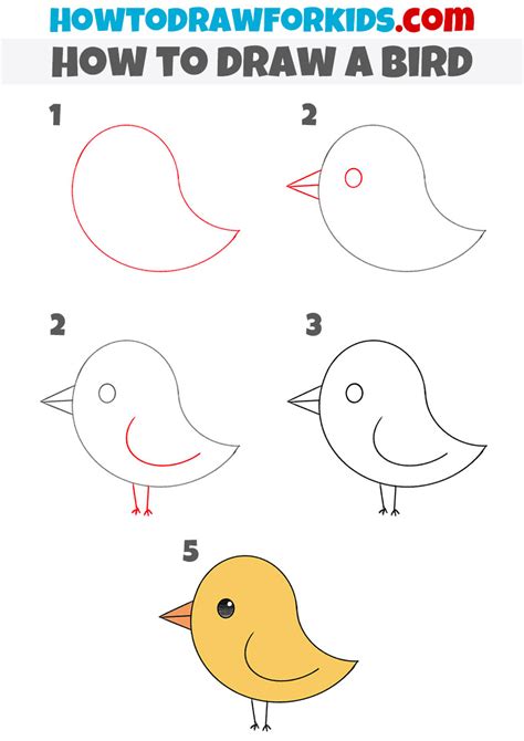 How to Draw a Bird for Kindergarten - Easy Drawing Tutorial For Kids