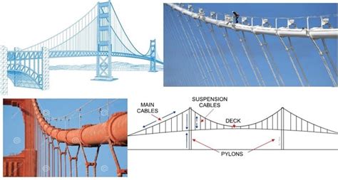 8 Compression Force Examples in Daily Life – StudiousGuy