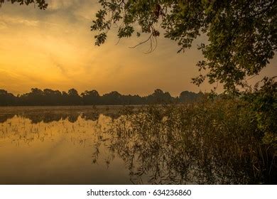 Gold Sunset Stock Photo 634236860 | Shutterstock