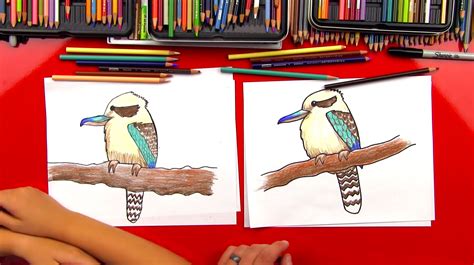 How To Draw A Kookaburra - Art For Kids Hub