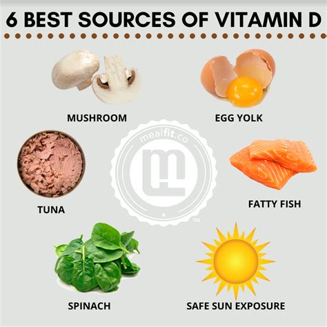 The 6 Best Sources of Vitamin D – MealFit