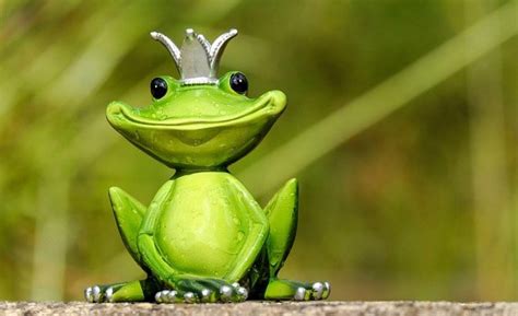 Dreams About Frogs – Symbolism and Meaning - Symbol Sage