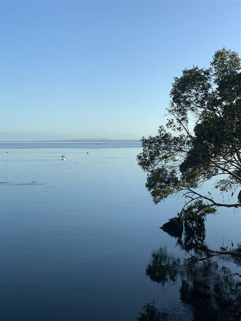 Wynnum Seafront : brisbane