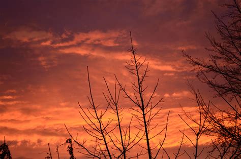 Red Morning Sky Free Stock Photo - Public Domain Pictures