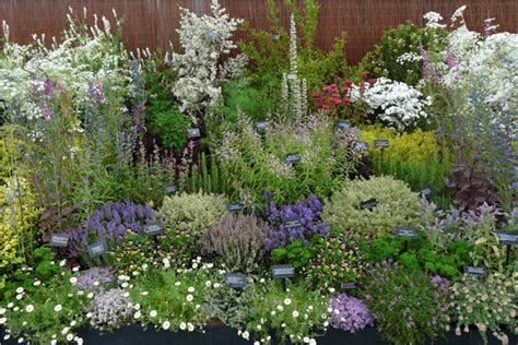 Image result for pretty herb garden Medicinal Herbs Garden, Planting Herbs, Garden Plants, Herb ...