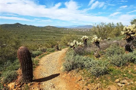 Best Phoenix Hiking Trails for Beginners | VisitPhoenix.com