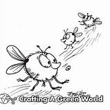 Fly Coloring Pages  Free & Printable sketch template