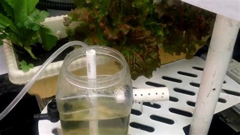 Diy Hydroponics Gardening - Homemade Water Pumps on Vimeo