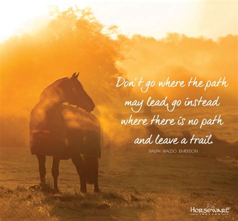 1000+ images about HORSE QUOTES on Pinterest