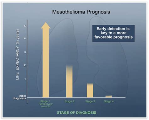 Mesothelioma Prognosis : Types, Stages, Symptoms, Factors And Treatment