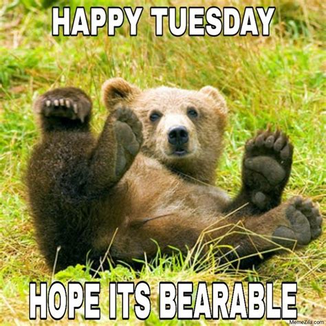 Happy Tuesday Meme with Bear | MemeZila.com