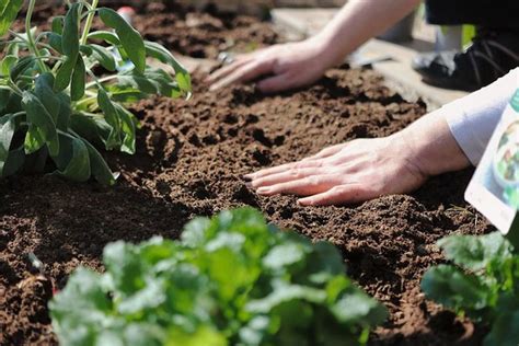 Sebelum Berkebun, Kenali Ciri-Ciri Tanah yang Subur dan Cara Menyuburkannya, Apa Saja? - Semua ...