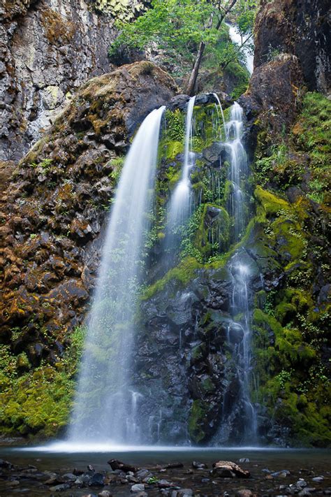 Fall Creek Falls, Douglas County, Oregon - Northwest Waterfall Survey