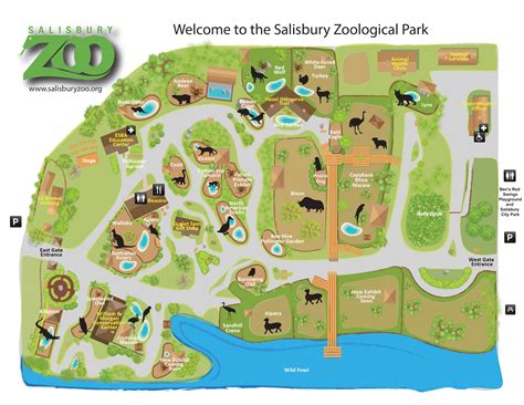 Zoo Map Layout