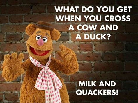 July 1st is International Joke Day | Fozzie bear, Fozzie, Disney films