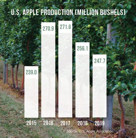 Apple crop forecast follows recent path - Fruit Growers News