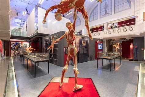 2023 BODY WORLDS Museum "Anatomy of Happiness" in Heidelberg