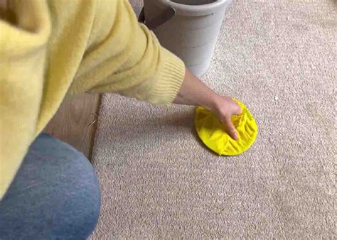 How To Clean Carpet Stain In Just 1 Minute