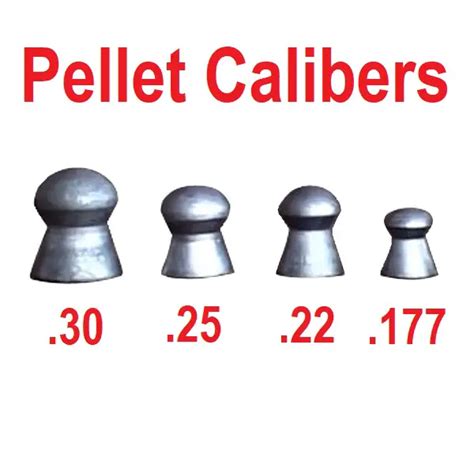 What Are the Different Calibers of Pellet Guns? - AirgunRanger.com