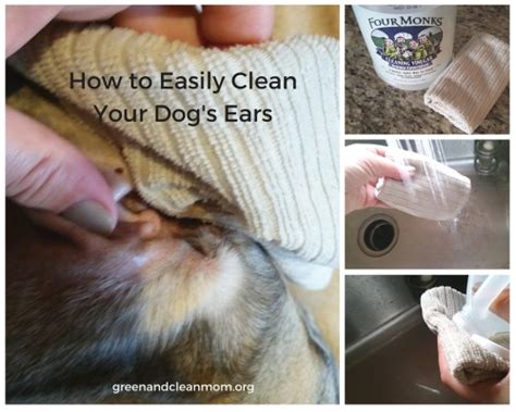 Clean Your Dog’s Ears Naturally with Vinegar