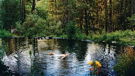 Things to Do in CLoudcroft, NM - Sunset Magazine