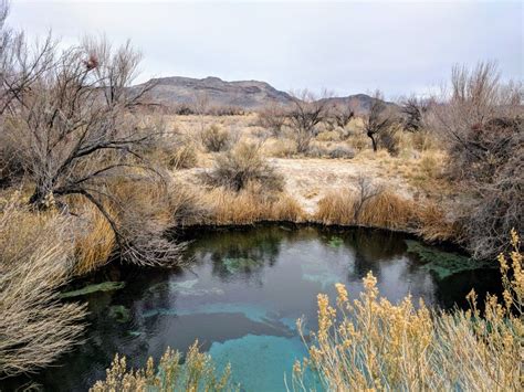 Crystal Spring, Ash Meadows NWR, Nevada | State parks, Crystal springs ...