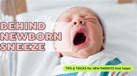 Newborn Baby Sneezing: Causes, Prevention, and Care Tips for Parents ...