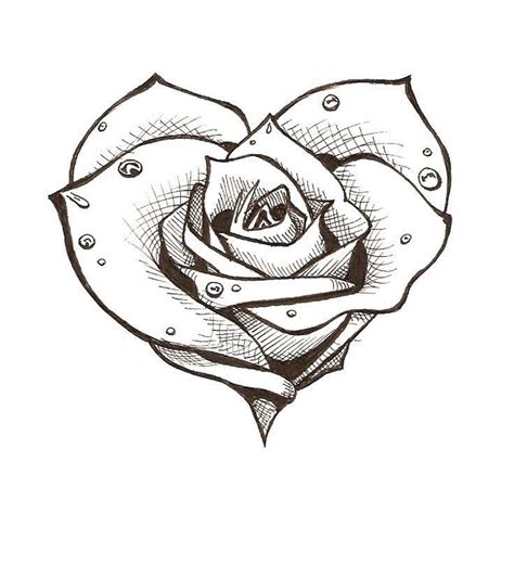 Rose Drawing Tattoo, Heart Drawing, Roses Drawing, Tattoo Design Drawings, Pencil Art Drawings ...