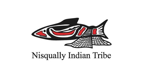 Nisqually Tribe Works to Extend Broadband Services to Unserved Areas, Including Near Rochester ...