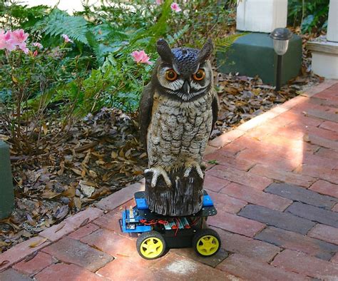 Robot Owl : 4 Steps - Instructables