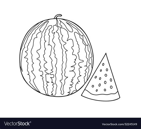 Outline drawing a watermelon and slices Royalty Free Vector