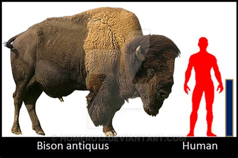 Блогът на valentint :: Largest prehistoric animals vol. 1Vertebrates part1 Mammals ch. 15 Bisons ...