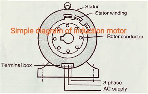 Construction of 3-phase induction motor