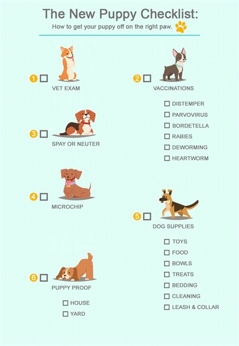 Get Ready For Your New Puppy: Veterinarian Checklist