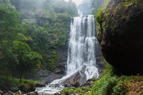 4 Reasons to visit Chikmagalur in Monsoon | Trawell.in Blog