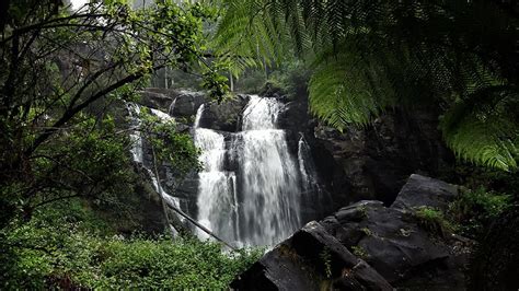 Great Ocean Road Otways National Park Waterfalls