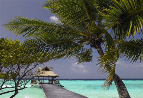 Maldives - Tropical Vacation Stock Photo - Image of remote, idyllic: 17773406