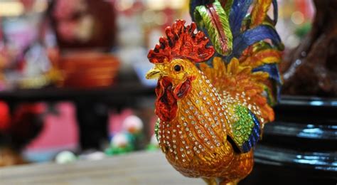 Feng Shui Tips To Attract Good Luck With Rooster