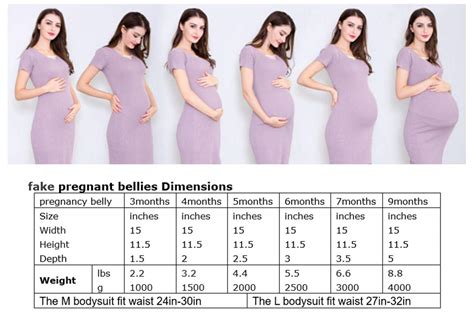 Pregnant Belly Measurements Chart