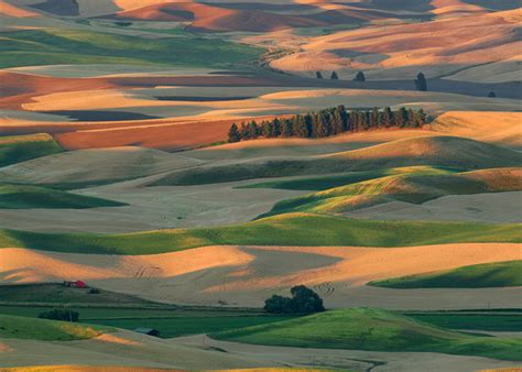 Glenn Nagel Photography | "Palouse Hills" Wins Photo of the Day!