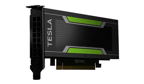 NVIDIA Tesla P4 - GPU computing processor - 1 GPUs - Tesla P4 - 8 GB ...