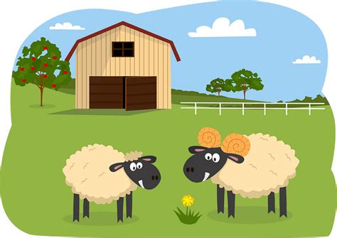 Sheep Animal Farm Clipart Full Size Clipart 3601787 Pinclipart | Images and Photos finder