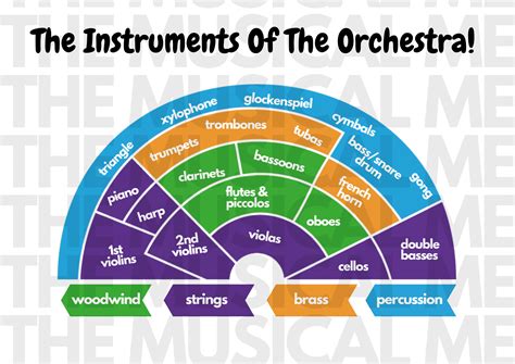 Orchestra Instruments List at Annie Rainey blog