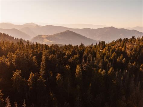 Premium Photo | A sunset over the mountains with trees and mountains in ...