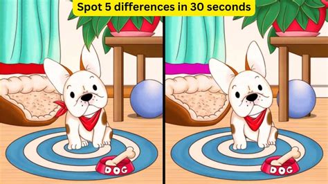 Spot the Difference: How attentive are you? Prove yourself by finding 5 differences in the pug ...