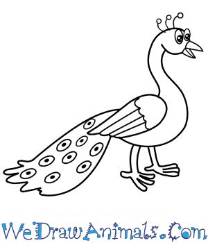 How to Draw a Cartoon Peacock