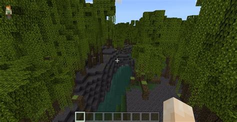 Top 3 Mangrove Swamp seeds for Minecraft 1.19.2